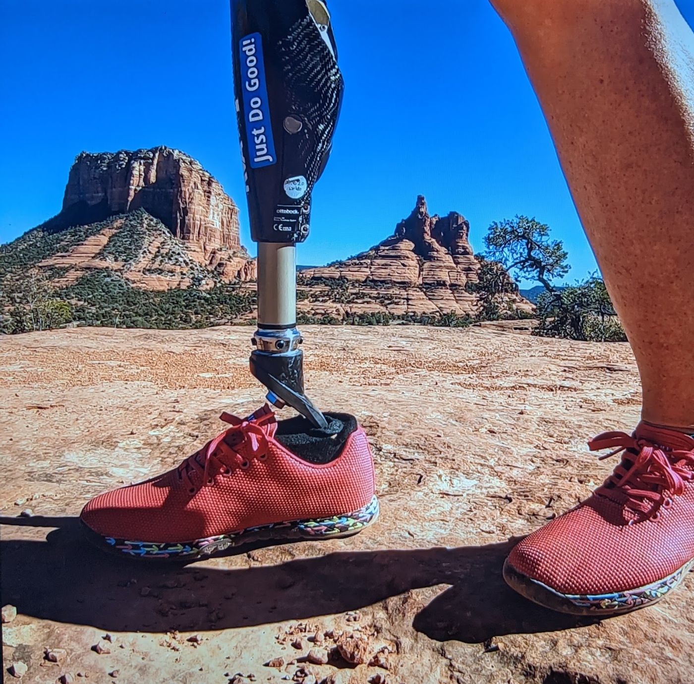 Robin Yoder: Bell Rock, Sedona